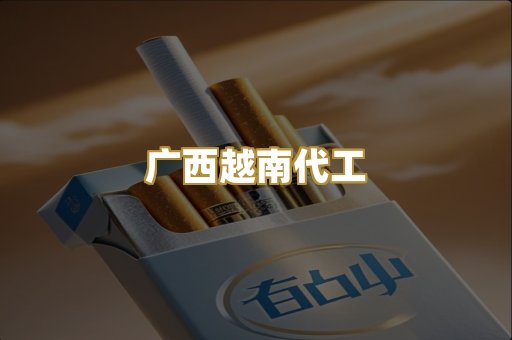 广西越南代工